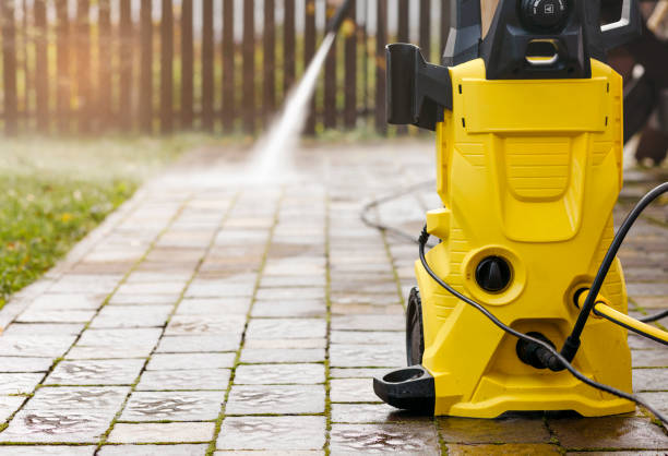 Animal Enclosure Cleaning in Carrollton, AL