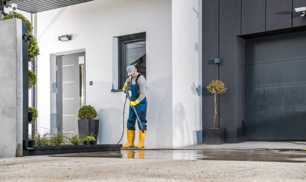 Best Sidewalk and Walkway Cleaning  in Carrollton, AL